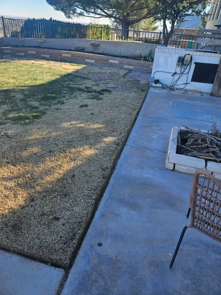 Top-rated lawn care service experts serving Hudson Oaks, TX - Crazy Grass Lawn Care