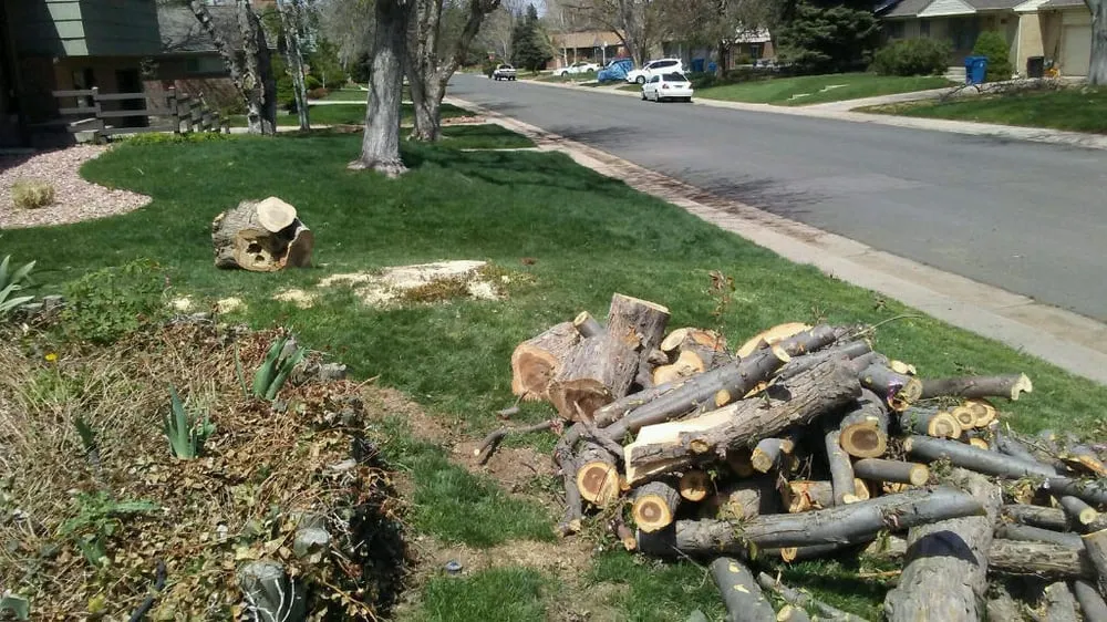 Expert landscape installation for homes across Centennial, CO - Crazy Legs Tree Care