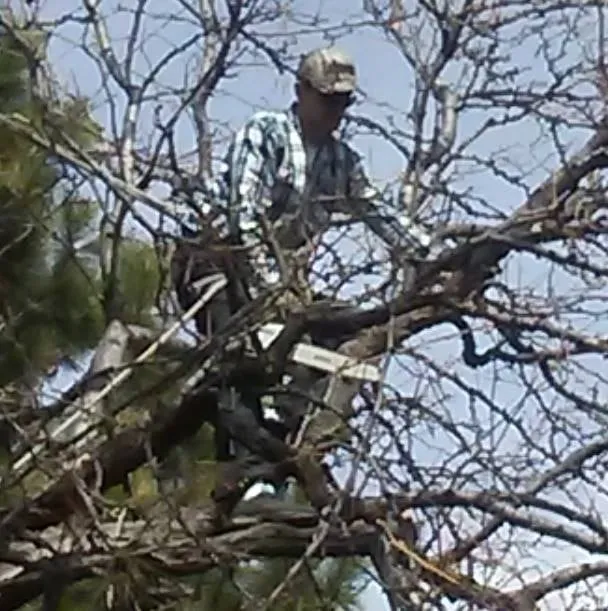 Reliable lawn care service for year-round maintenance across Centennial, CO - Crazy Legs Tree Care