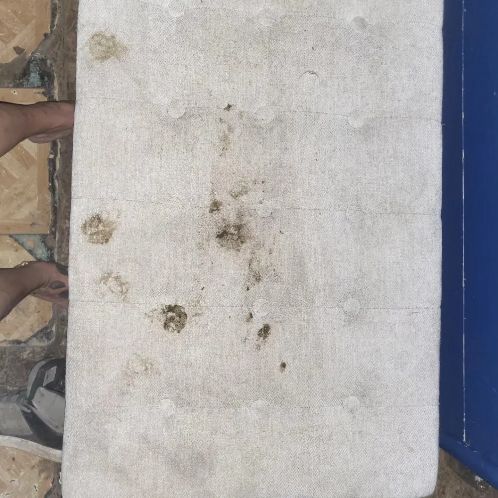 Expert landscape design with custom design across Interlachen, FL - Crazyhouse Lawn and home services LLC