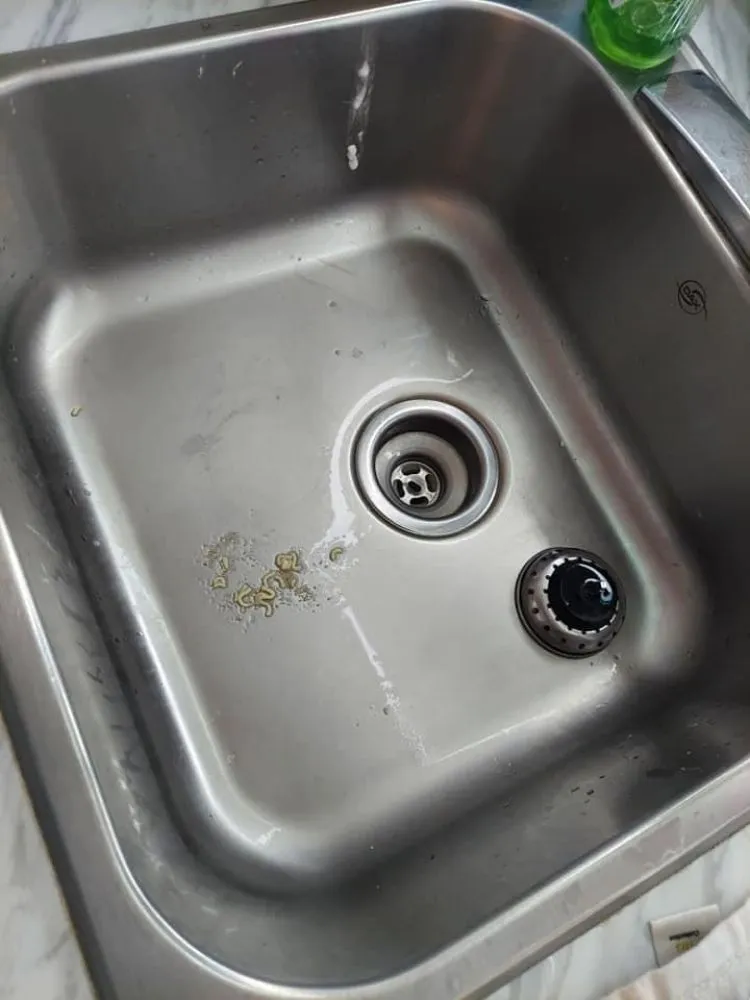 Expert outdoor landscaping in Interlachen, FL by Crazyhouse Lawn and home services LLC