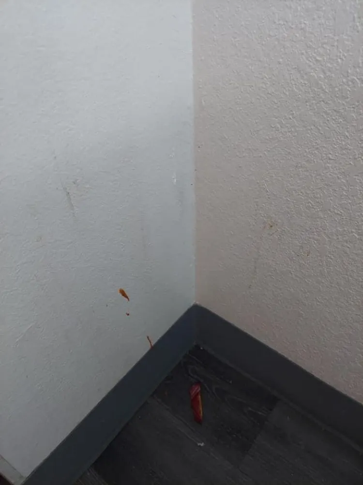 Expert garden landscaping for beautiful yards in Interlachen, FL by Crazyhouse Lawn and home services LLC