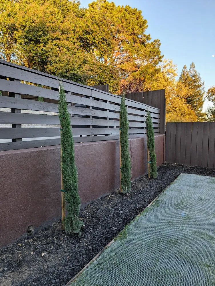 Reliable landscape design in Redwood City, CA - CRC Landscaping