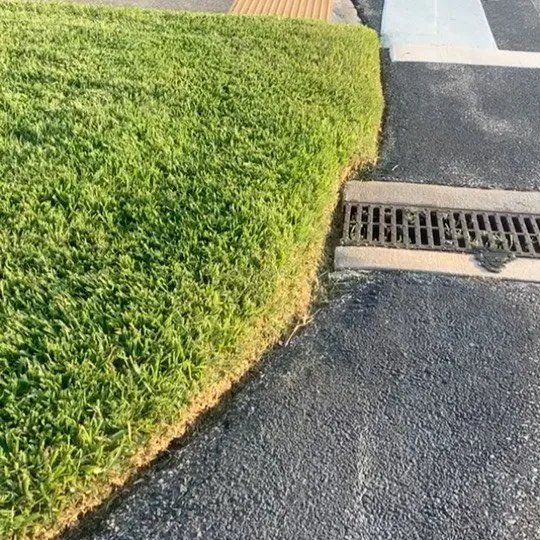 Affordable landscape design experts serving Plant City, FL - CRC Outdoors