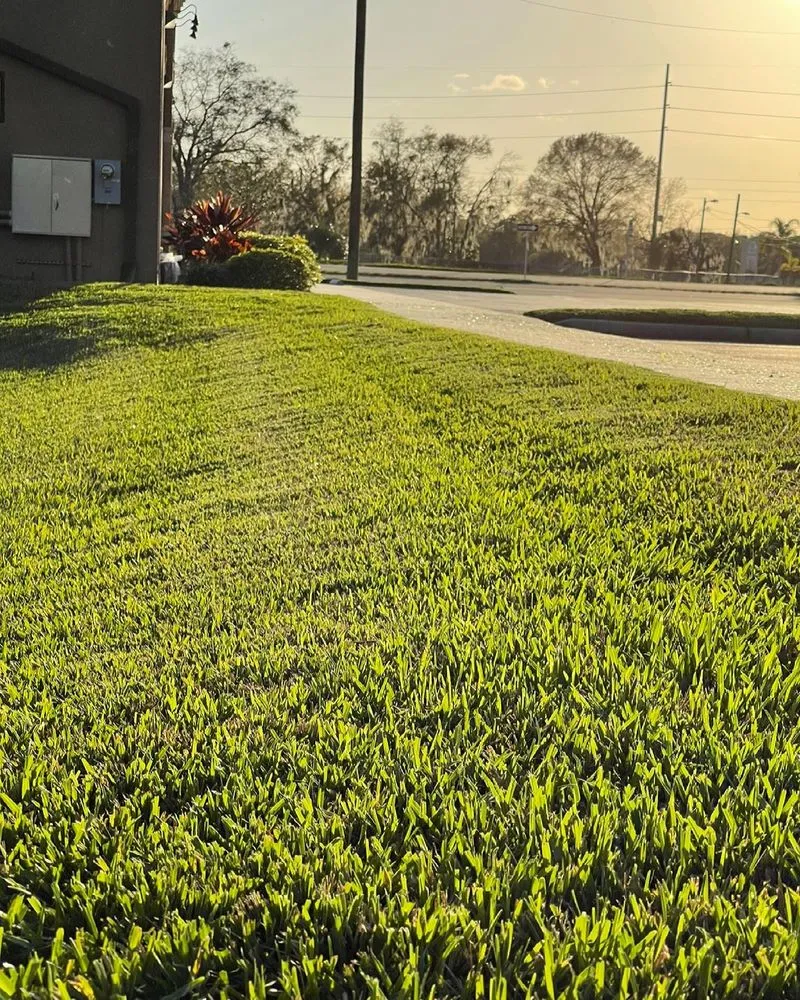 Affordable yard maintenance in Plant City, FL by CRC Outdoors