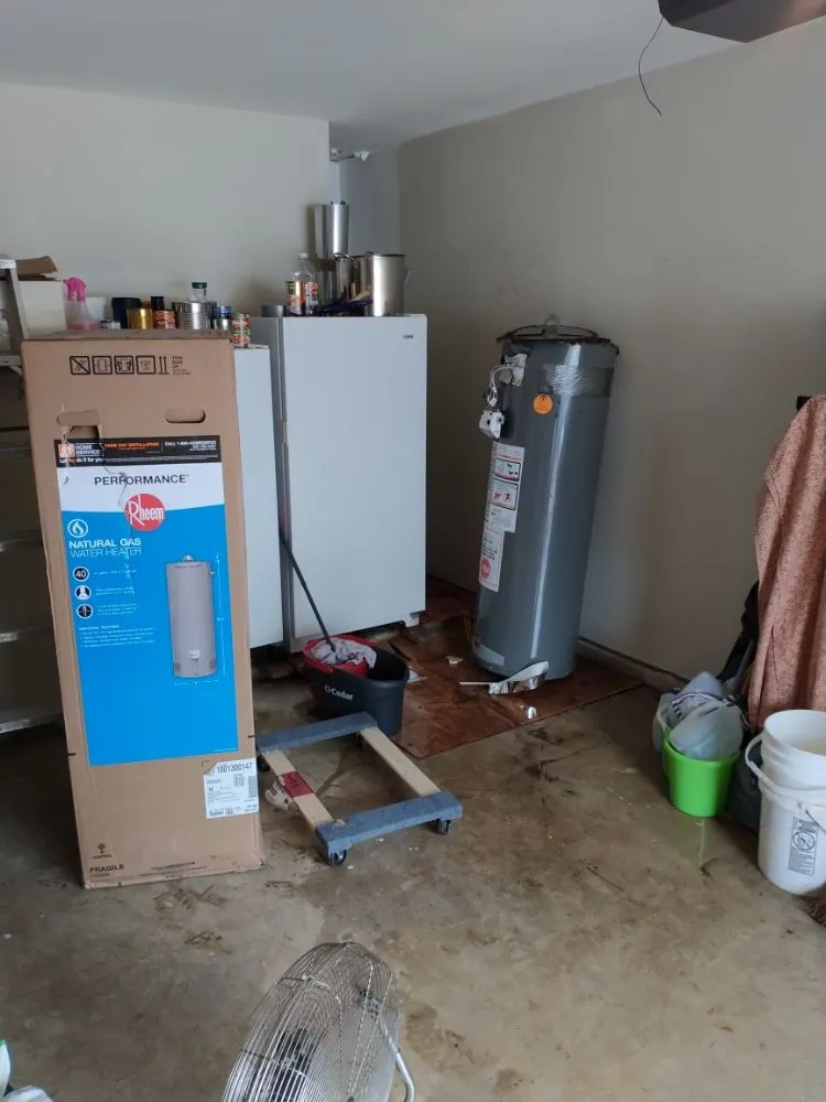 Affordable lawn mowing service for year-round maintenance in Houston, TX by Crdr Services