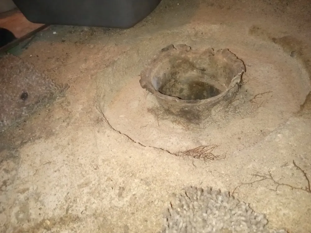 Top-rated outdoor landscaping in Houston, TX by Crdr Services