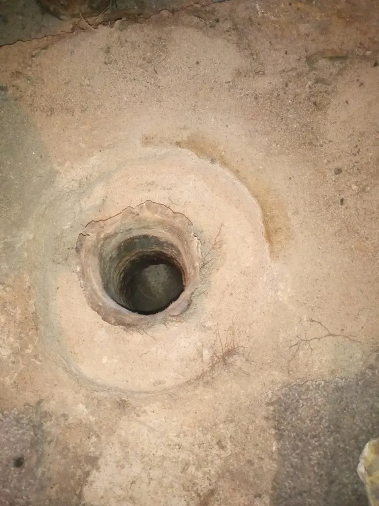 Professional lawn care service with custom design in Houston, TX by Crdr Services