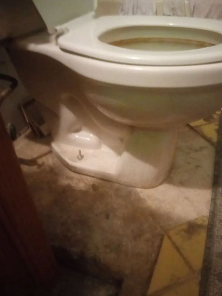 Custom landscape installation experts serving Houston, TX - Crdr Services