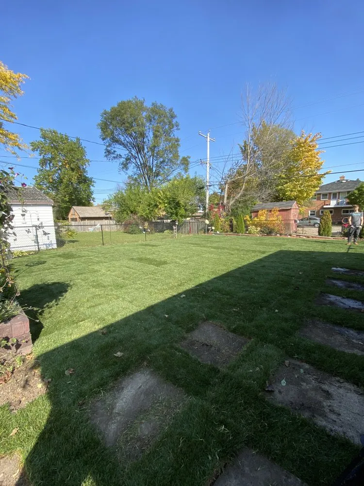 Expert yard cleanup service in Greendale, WI by Cream City Sod