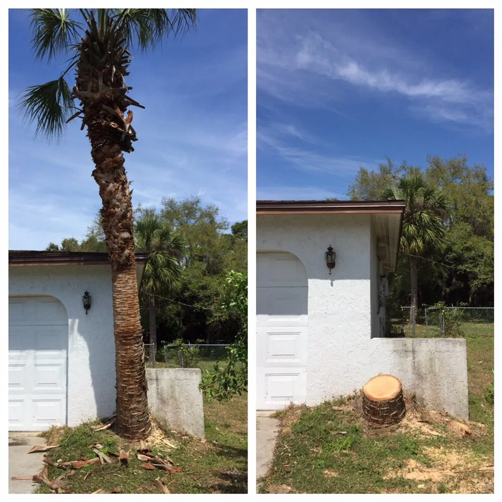 Professional landscaping services in Naples, FL by Creamer Landscape Management