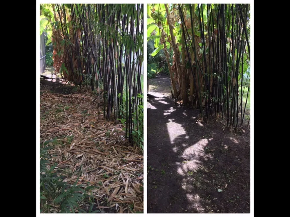 Reliable yard maintenance for residential properties across Naples, FL - Creamer Landscape Management