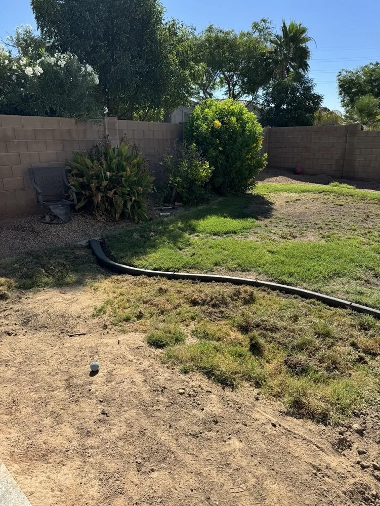 Trusted yard maintenance near you in Gilbert, AZ by Create A Curb