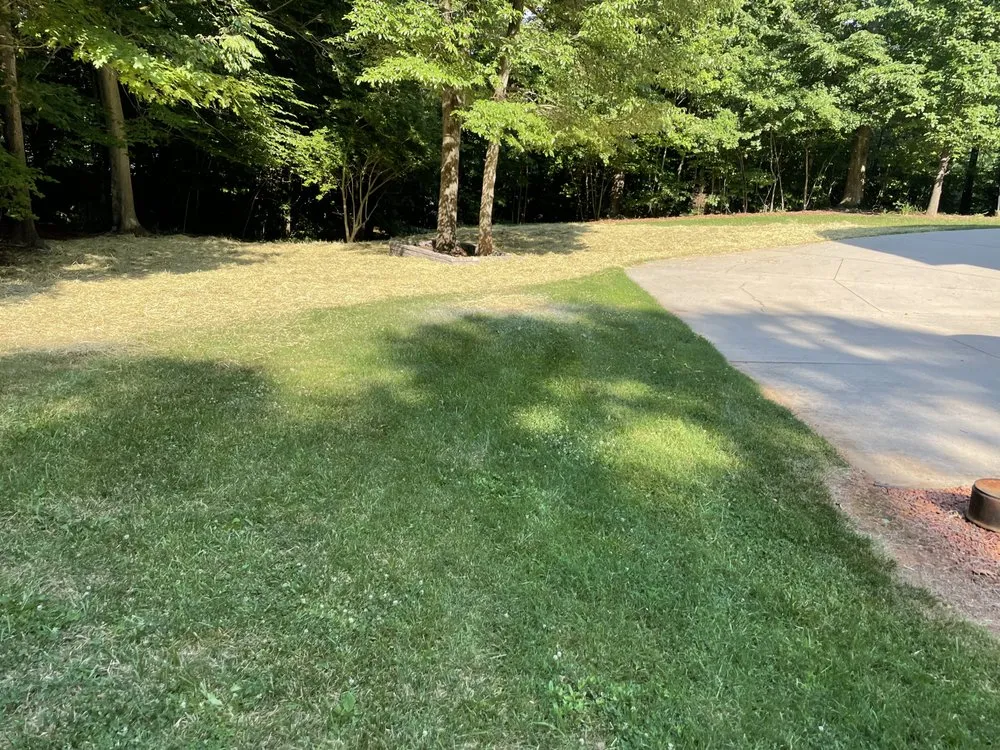 Trusted yard cleanup service experts serving Lexington, NC - Create A Place Landscaping