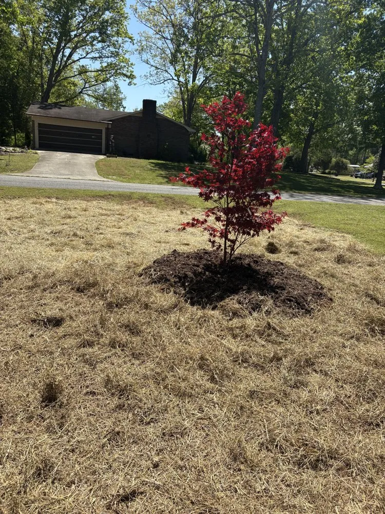 Top-rated landscape design for residential properties across Lexington, NC - Create A Place Landscaping