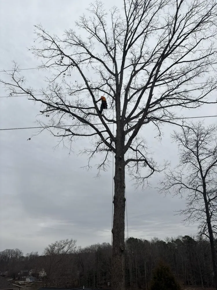 Professional lawn mowing service near you in Lexington, NC by Create A Place Landscaping