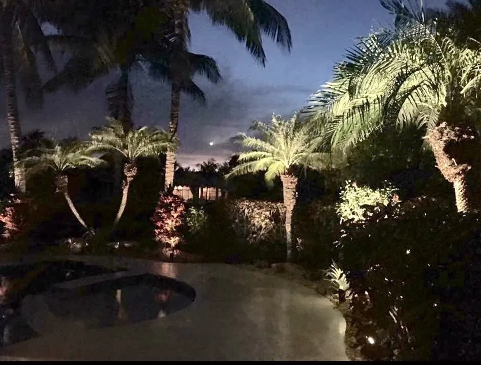 Reliable lawn care service experts serving Plantation, FL - Create A Scape