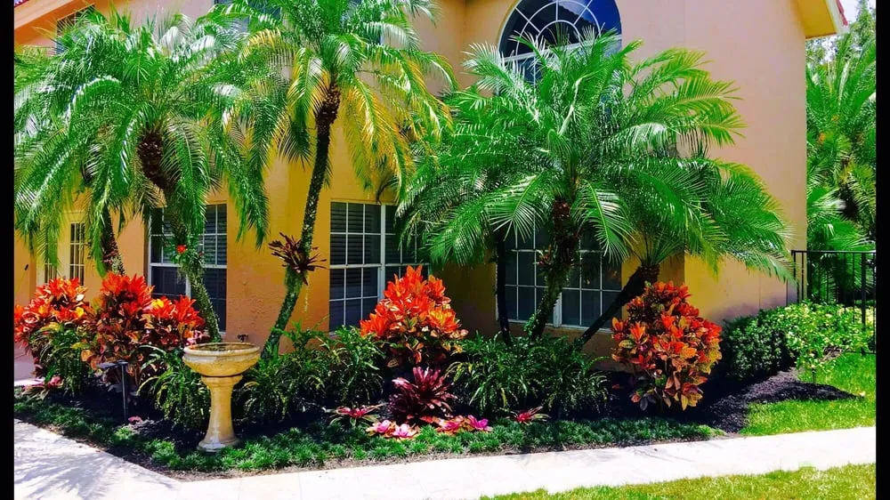 Expert landscape design in Plantation, FL - Create A Scape