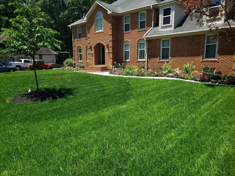Affordable landscaping services for beautiful yards in Virginia Beach, VA by Create My Lawn
