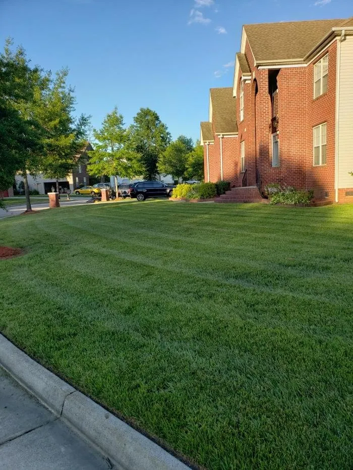 Trusted residential landscaping with custom design in Virginia Beach, VA by Create My Lawn