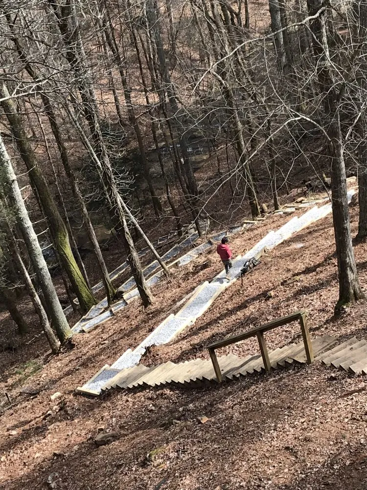 Expert lawn care service experts serving Ellijay, GA - Createscape Landscaping Service