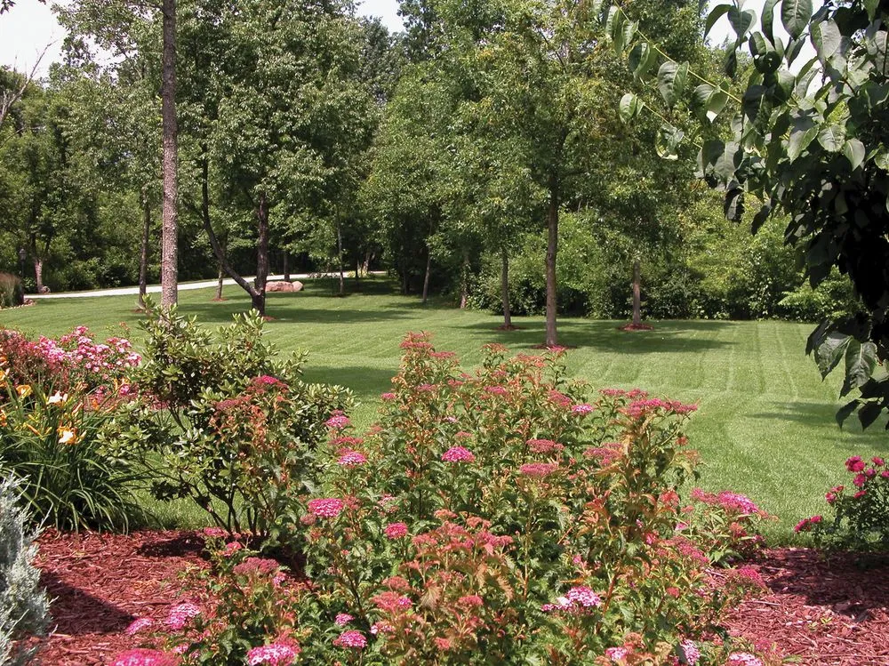 Custom lawn care service in Mukwonago, WI by Createscape Landscaping Service