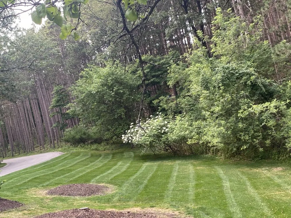 Reliable yard cleanup service for beautiful yards in Kentwood, MI by Creating Community Lawncare