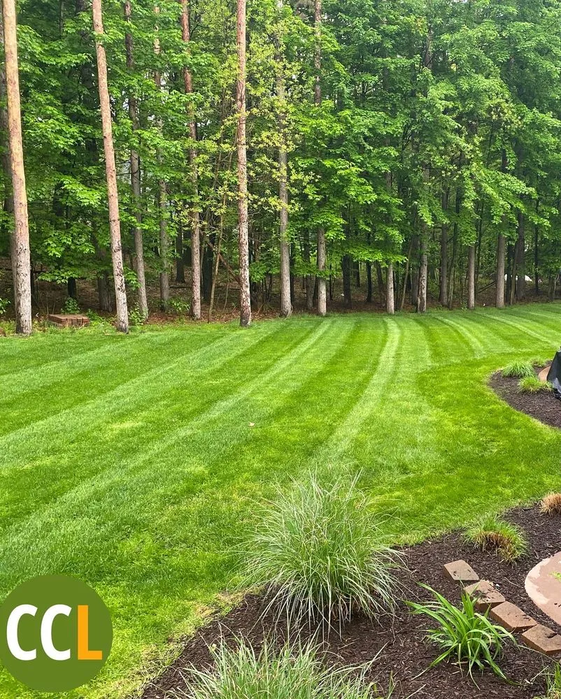 Professional yard cleanup service near you in Kentwood, MI by Creating Community Lawncare