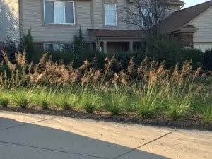 Top-rated lawn mowing service for beautiful yards in Novi, MI by Creating Sustainable Landscapes