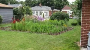 Trusted outdoor landscaping in Novi, MI by Creating Sustainable Landscapes