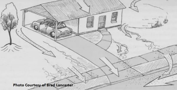 Professional landscape installation experts serving Novi, MI - Creating Sustainable Landscapes