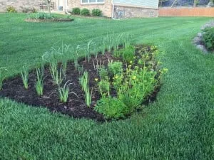 Expert garden landscaping in Novi, MI by Creating Sustainable Landscapes