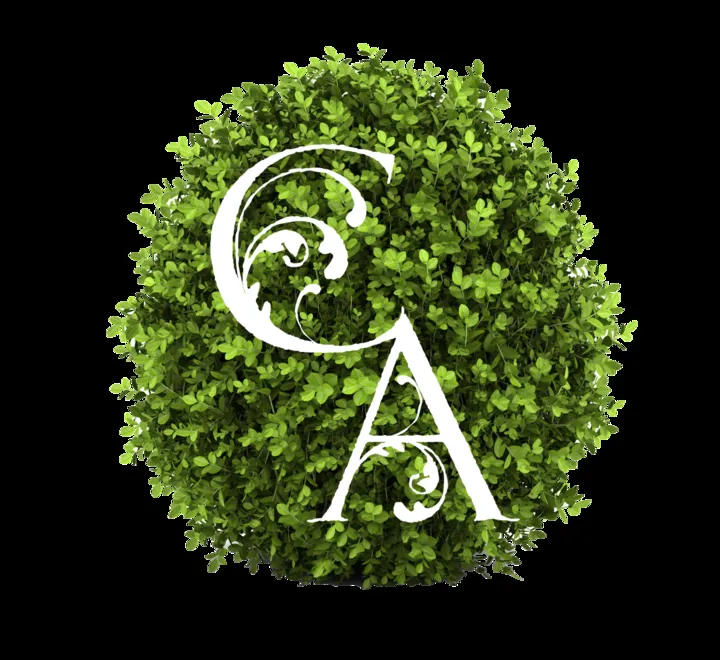 Expert lawn care service with custom design across Afton, VA - Creation Appreciation