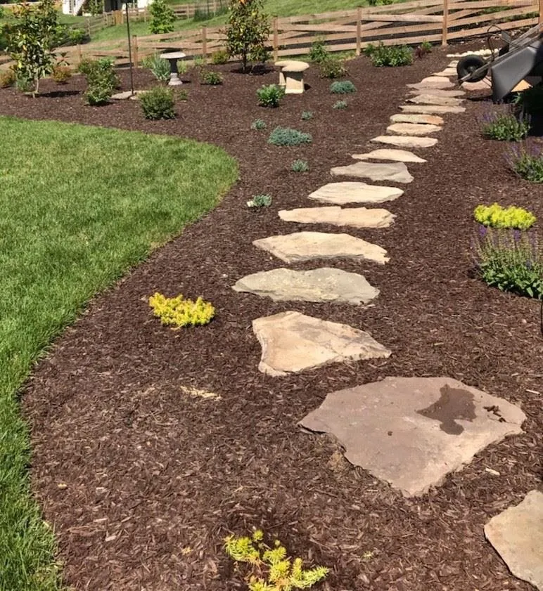 Top-rated landscaping services for beautiful yards across Afton, VA - Creation Appreciation