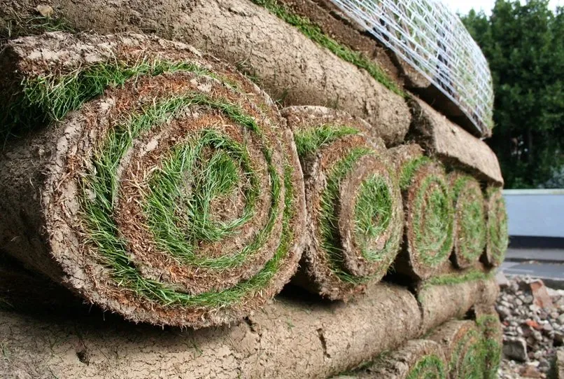 Local residential landscaping experts serving Pasco, WA - Creation Home Services