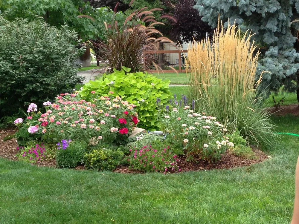 Professional yard cleanup service in Nampa, ID by Creation Landscape Design