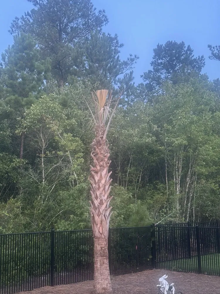 Professional landscape design for year-round maintenance in Wilmington, NC by Creation Landscapes