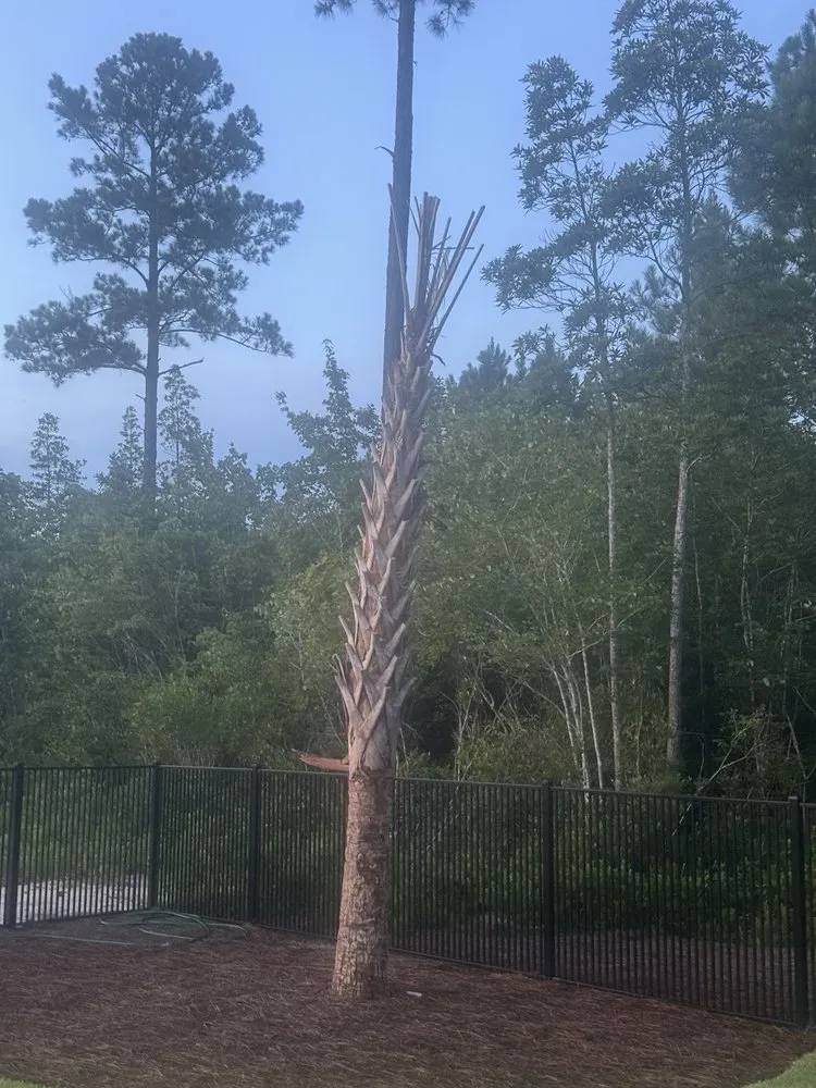 Local residential landscaping for year-round maintenance across Wilmington, NC - Creation Landscapes