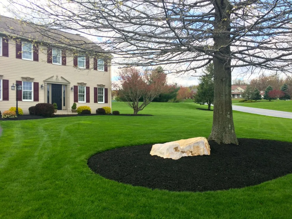 Expert landscape design for beautiful yards across Lancaster, PA - Creation Landscaping and Lawn Care