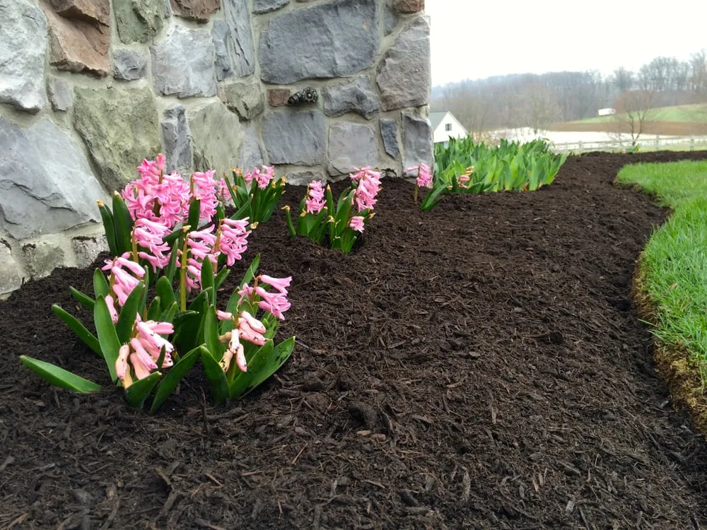 Reliable residential landscaping with custom design across Lancaster, PA - Creation Landscaping and Lawn Care