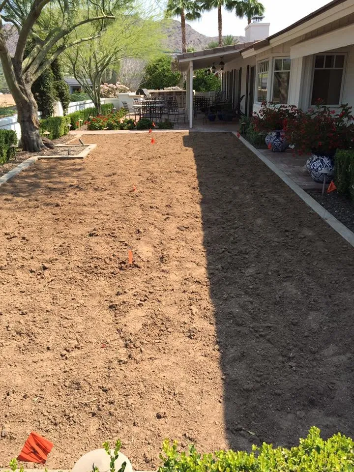Trusted garden landscaping for year-round maintenance in Buckeye, AZ by Creation Landscaping