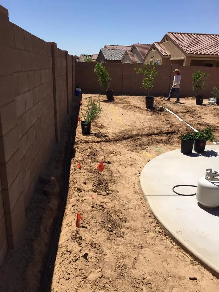 Custom yard cleanup service with custom design in Buckeye, AZ by Creation Landscaping