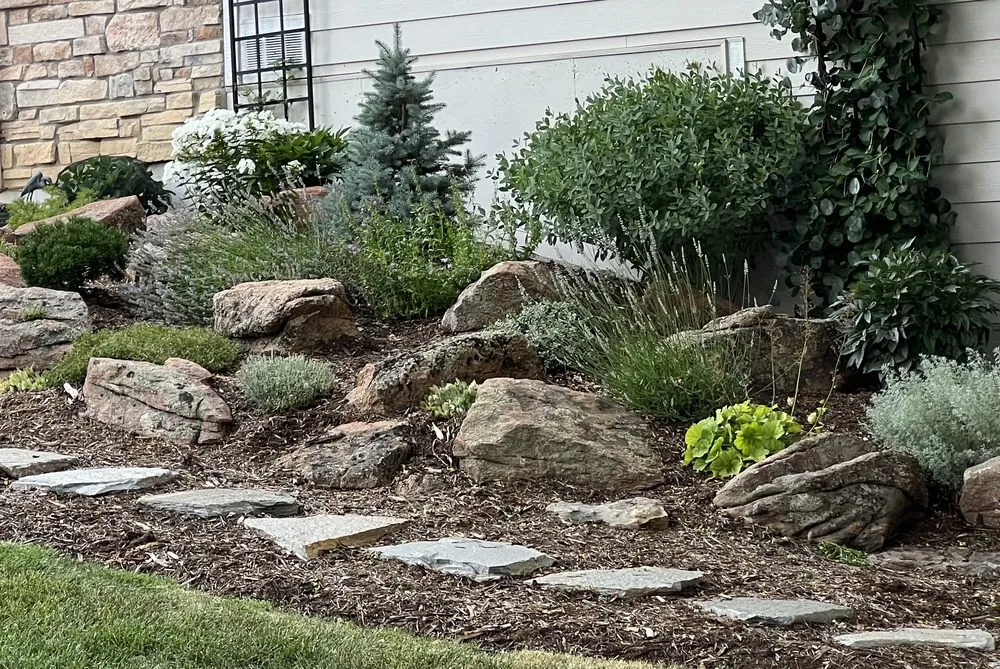 Reliable landscaping services in Lafayette, CO - Creation Landscaping Services