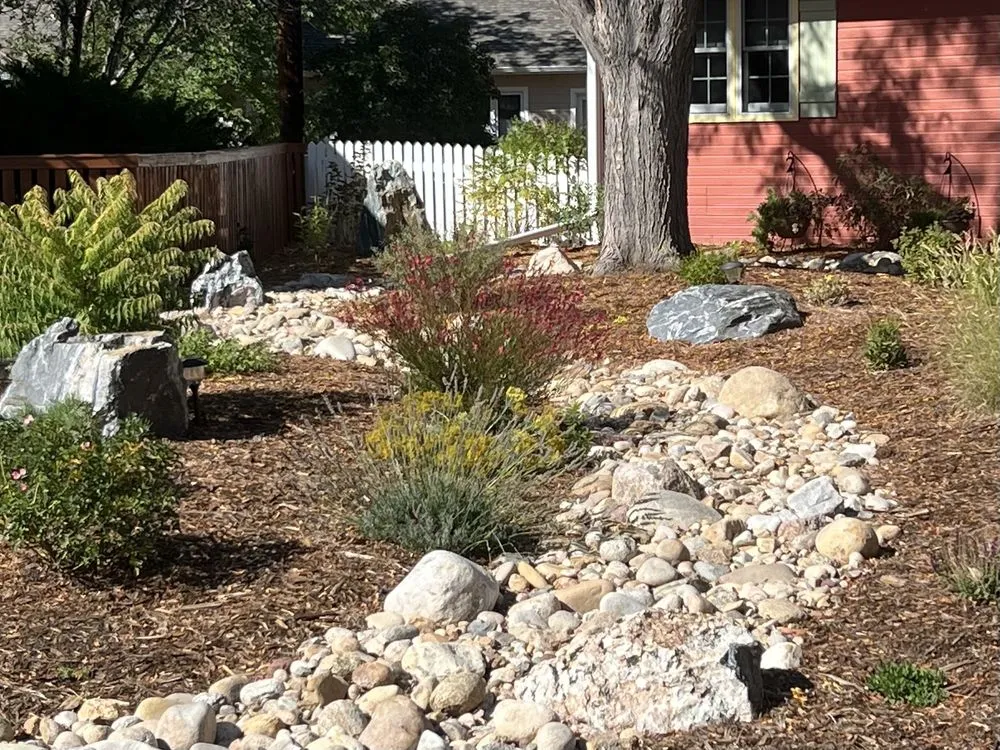 Professional lawn care service in Lafayette, CO - Creation Landscaping Services