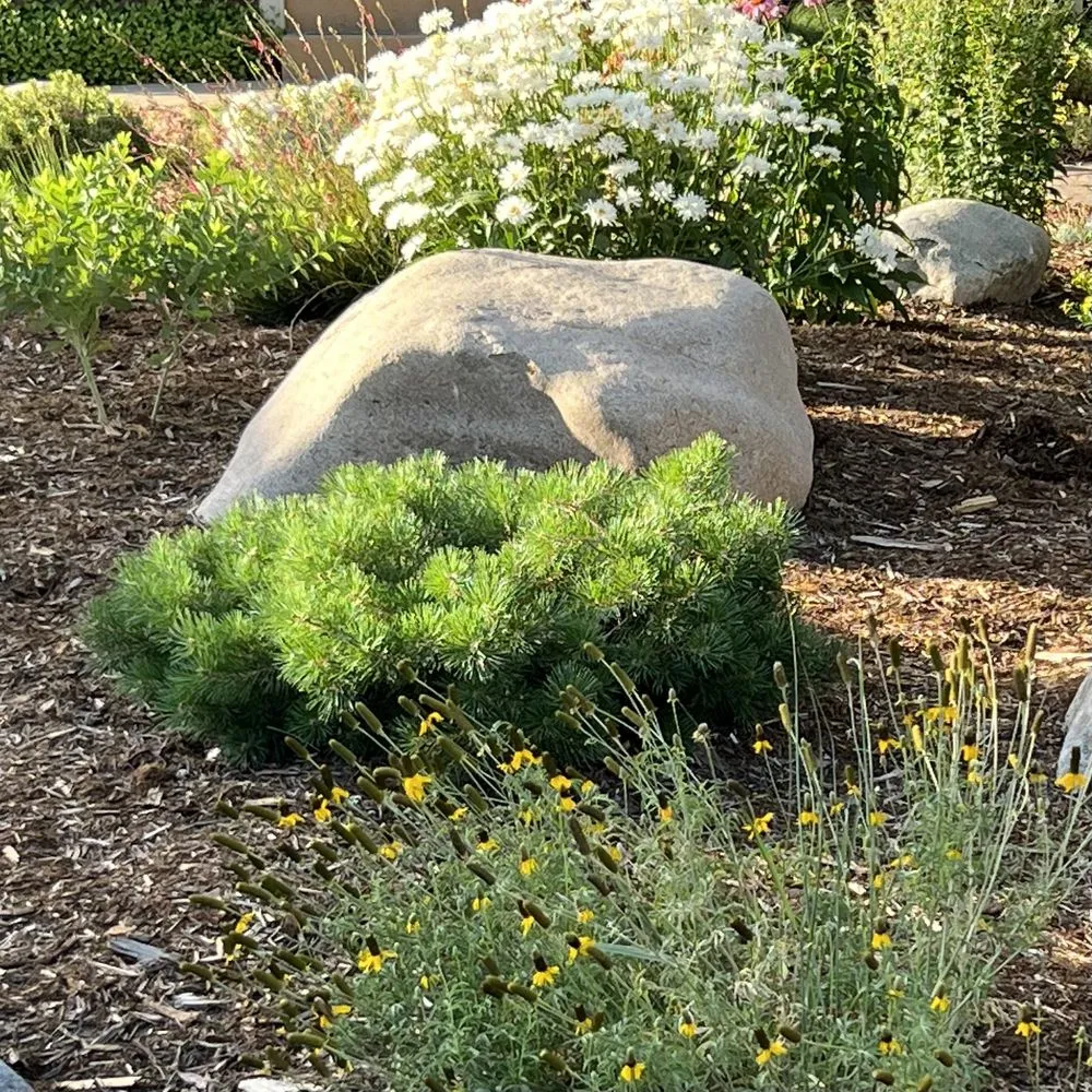 Professional residential landscaping in Lafayette, CO - Creation Landscaping Services