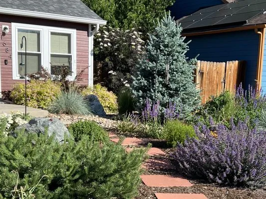 Creation Landscaping Services