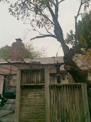 Professional landscape design experts serving Springfield, MO - Creation Lawn & Landscape