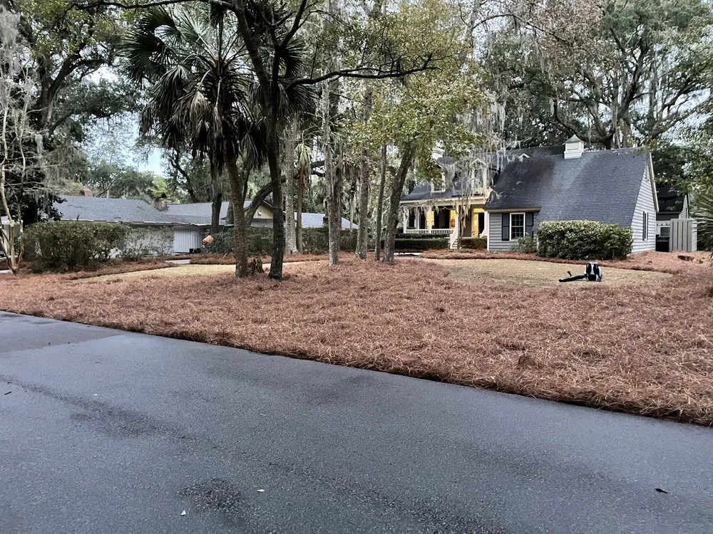 Professional yard cleanup service in Hilton Head Island, SC by Creational Outdoor Services
