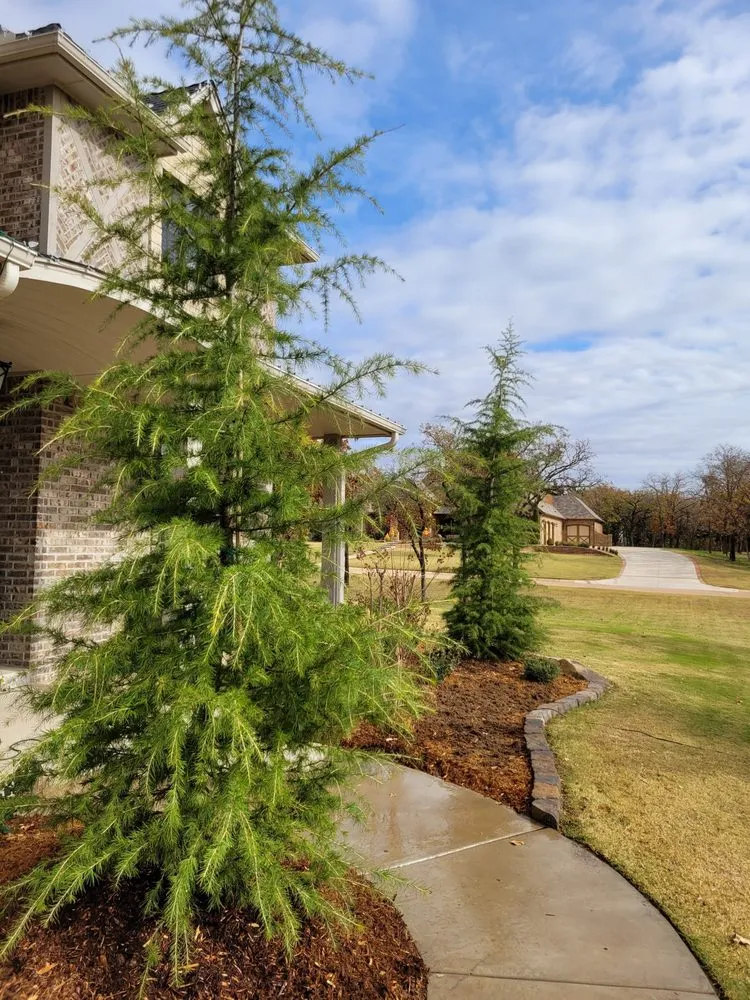 Expert lawn mowing service near you in Oklahoma City, OK by Creations Landscape and Lawn Maintenance