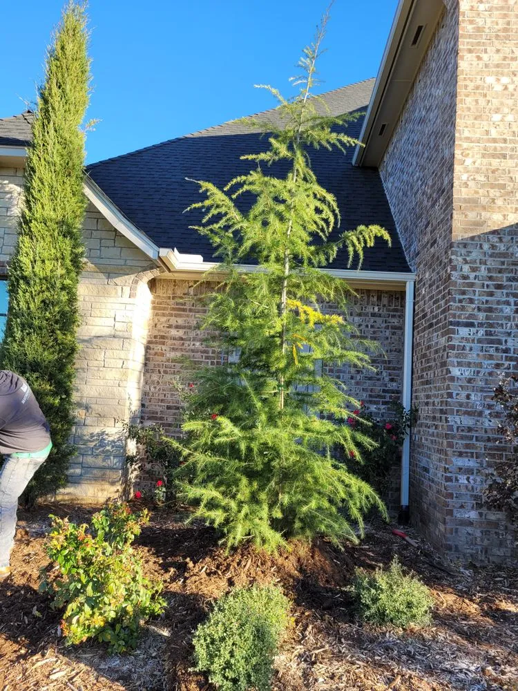 Custom residential landscaping for homes across Oklahoma City, OK - Creations Landscape and Lawn Maintenance